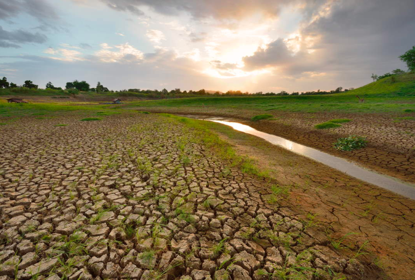 Siccità, la Sicilia è la regione italiana a maggiore rischio desertificazione